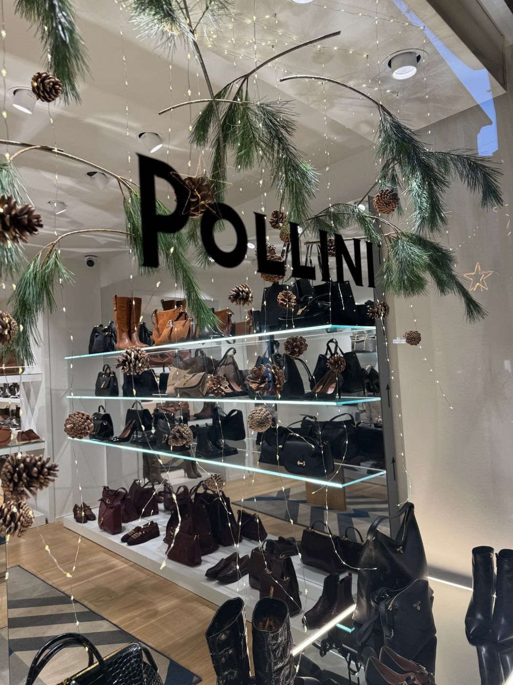 Vetrina Pollini con pini e sospensioni natalizie