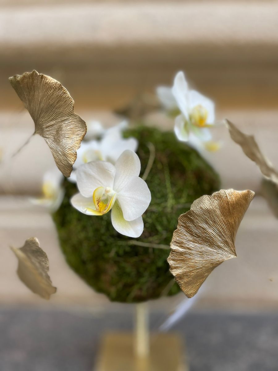 Kokedama con orchidea phalaenopsis e foglie di ginkgo dorate