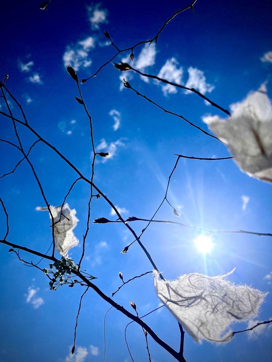 Materia FLOR A L — immagine 033