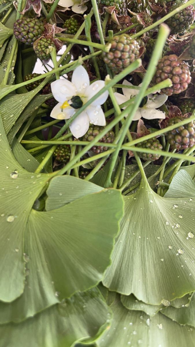 Materia FLOR A L — immagine 034