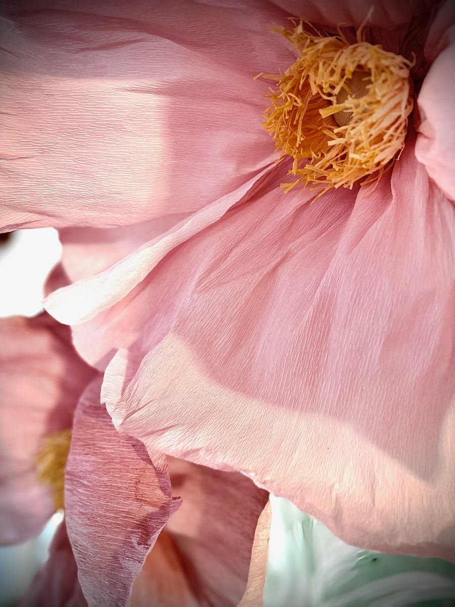 Materia FLOR A L — immagine 049