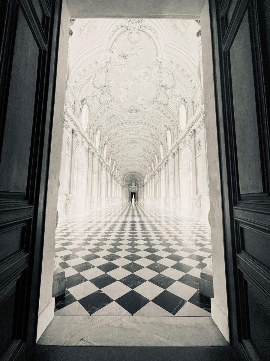 Installazione FLOR A L — immagine 074