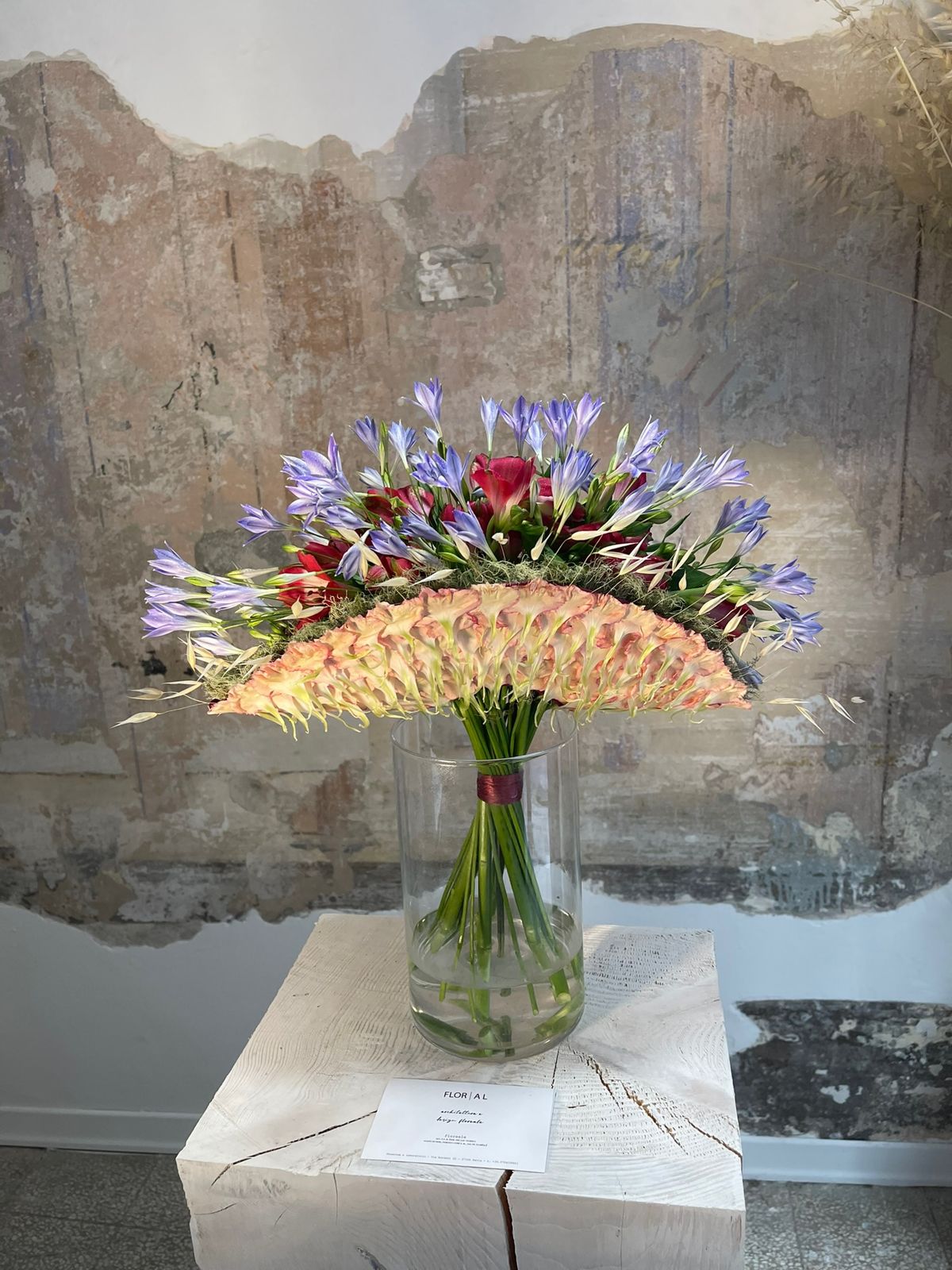 Agapanthus davanti a un affresco