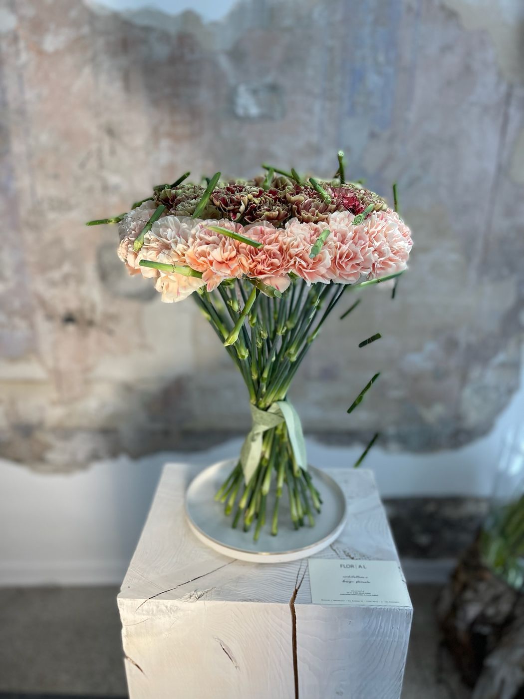 Bouquet compatto di garofani rosa su plinto