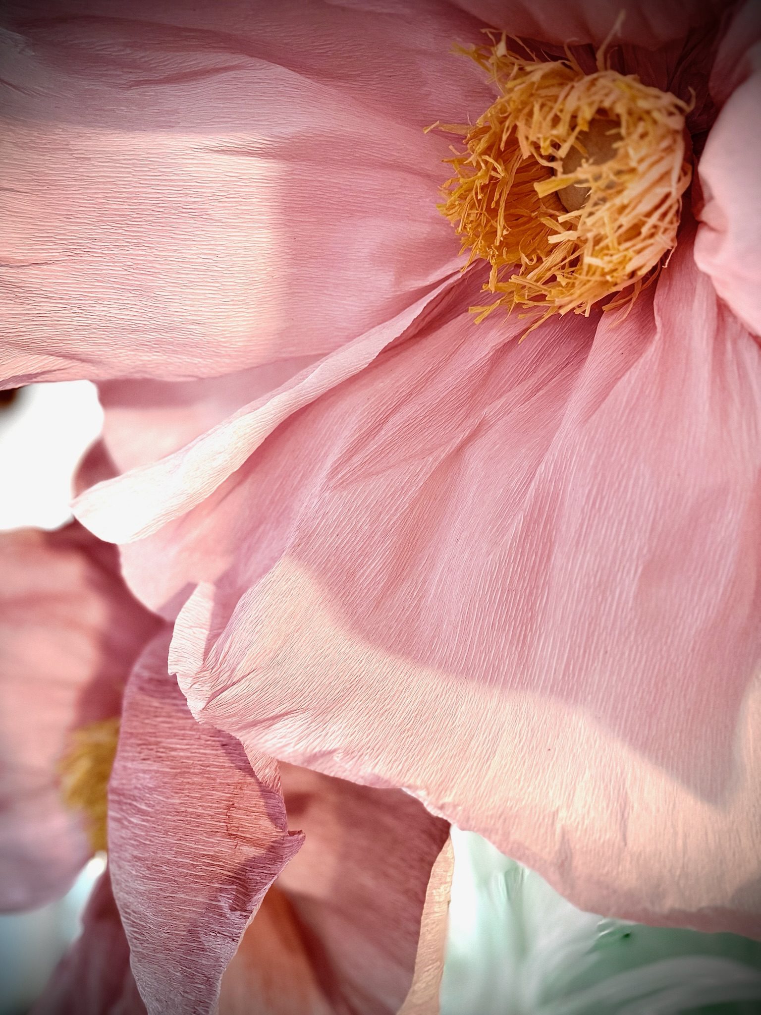 Petali di peonia rosa in macro, atmosfera eterea